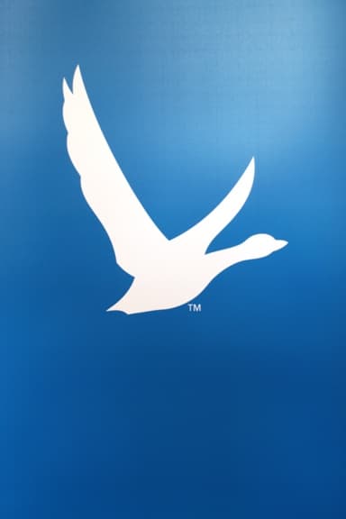 Grey Goose
